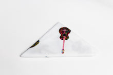 Load image into Gallery viewer, Pocket Square Collection
